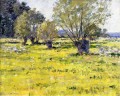 Willows and Wildflowers impressionism landscape Theodore Robinson